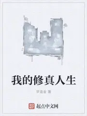 云七念陆北深小说名字