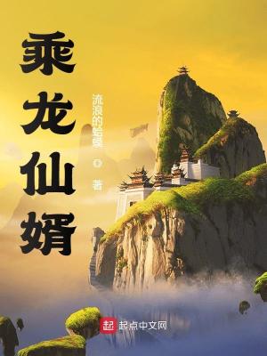 乘龙仙婿